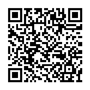 青云抹掉自己脸上的泪抽出了武器立刻追了上去二维码生成