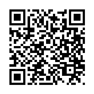 青叶在月色之下划过一刀美丽的弧线二维码生成