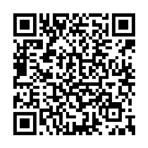 青叶轻松无比地将奥术屏障和扭曲力场直接碎裂二维码生成