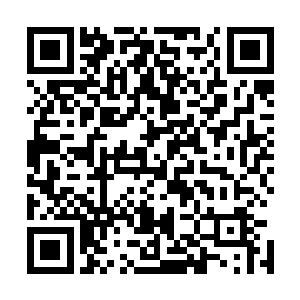 青墨上人以丹道宗师的身份所形成的关系网也开始发挥作用二维码生成