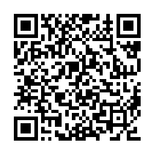 青山一定遇到了比禾田长老还要强大的对手……二维码生成