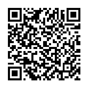 青帮是龙国人势力阵营在海外摆在明面上的唯一势力二维码生成