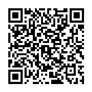 青年包括他身后的那些保安全都一脸冷笑的看着他二维码生成