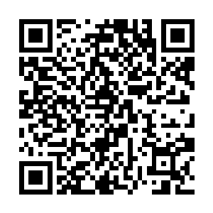 青年城项目对我们整个团体来说肯定是有未来前景的二维码生成