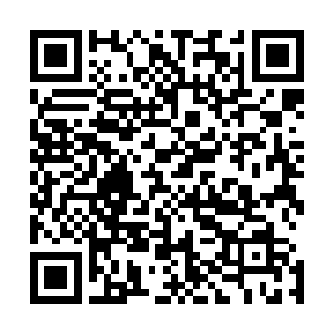 青春靓丽的殷蔓蔓和短发套裙的佳园置业总经理从车上下来二维码生成