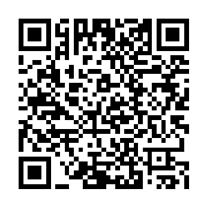 青梅嗅的原器魂将新生出来的弱小器魂给吞噬了二维码生成