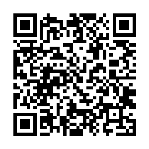 青楼商团和厨师商团就是这次集市的最后一批商团了二维码生成