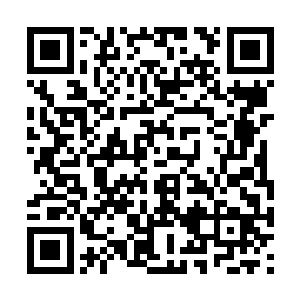 青洪会的人和司见御安排的人手眼看着要一触即发二维码生成