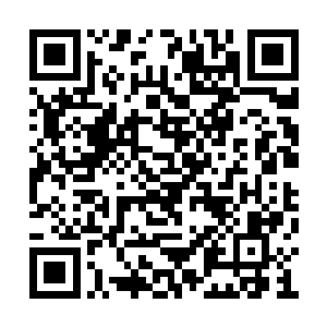 青火宗修士很万幸在昏睡之中还保持的一丝清醒二维码生成