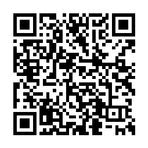 青火宗修士翻了一个手印拍在那个火麒麟的头上二维码生成