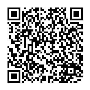 青火宗花费十亿极品灵石购买的一颗七品真灵丹让青炎恢复了化神初期的修为二维码生成