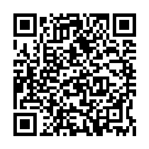 青牛拥有的星域烙印轰碎了定海域主的星域烙印二维码生成