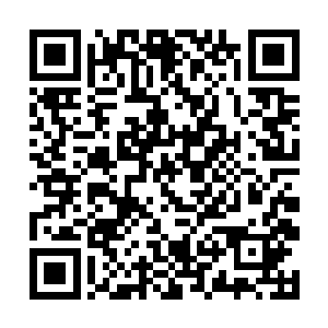 青玄在都督府里日日都惦记着楚小郎……也不得安枕二维码生成