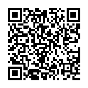 青珠圣人见无机可乘只能罢手……定是去遗忘之地洞天那面了二维码生成