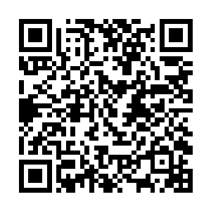 青石板地面顿时多出一条条一分米厚一厘米宽的切痕二维码生成