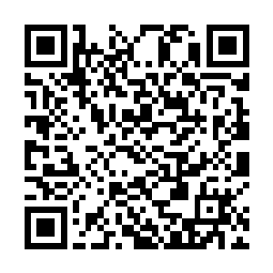 青祖本就透明的身躯在这四位的攻击之下直接是消散了二维码生成