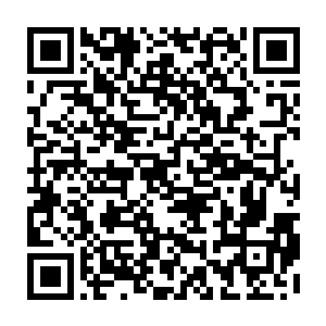 青翼大鹏族的族人还有麒麟族的族人也都感受到了这神兽兽骨的恐怖所在二维码生成