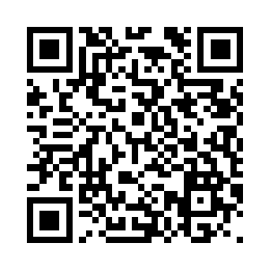 青脉中能在地仙一层时做到这样扎根二维码生成