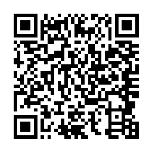 青色灵力也急速绕过五彩灵力然后被五彩灵力一下子集散二维码生成