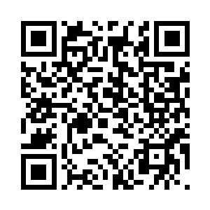 青色的小草在和青玉如意碰撞的刹那二维码生成