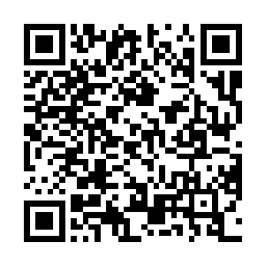 青色的旋风和蓝色的火焰因为一次次的爆轰而肆虐而出二维码生成