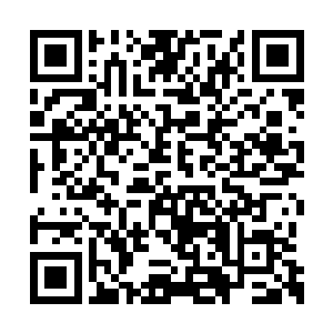 青蒲姑娘给我们上的茶……不过她肯定不记得了二维码生成