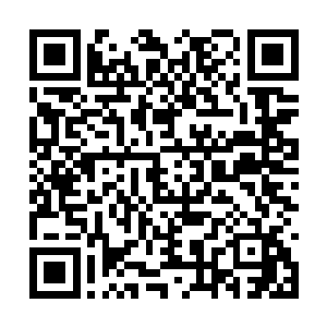 青蛇殿和赤蛇殿果然从未放弃过灭杀巫咸门的决心二维码生成