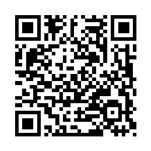 青蛇殿和赤蛇殿能成为西荒界四大势力之一二维码生成