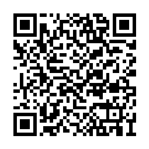 青衣社在与南龙帮抢夺地盘的过程当中节节胜利二维码生成