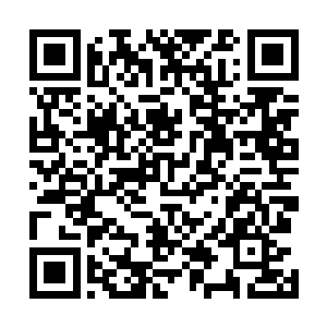 青铜古门周围层层叠叠都是止虚山还活着的长老和弟子们二维码生成