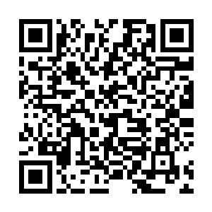 青铜战队原本可以将这凶煞冰魄和镇压法宝都纳为己用二维码生成