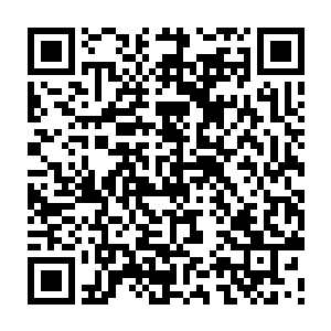 青阳洞多数已经几十岁甚至上百岁的修士都要客客气气地称自己一声师叔二维码生成