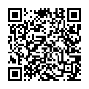 青风已直接对那传送殿职守亮了一下龙隐堂的身份牌后道二维码生成