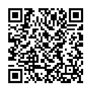 青鸾仙子在雷宵大陆隧井遭遇红云亚圣狙击……二维码生成