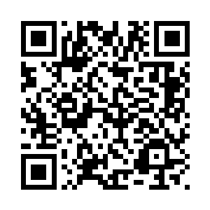 青龙圣地的掌教至尊和太上长老们二维码生成