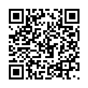 青龙木还是生命古树……这都没有什么影响的二维码生成