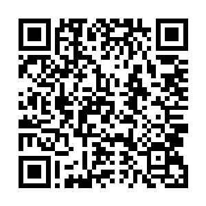 青龙殿打造出了一个令人闻风丧当的杀手队伍――血滴子二维码生成