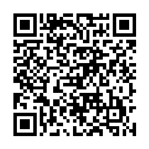 青龙老母见自己的全部身家被人轻描淡写的秒杀掉二维码生成