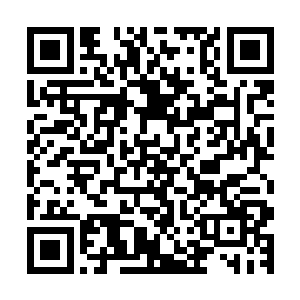 静候在大殿内的服饰各异的二十多名男男女女的目光骤然盯来二维码生成