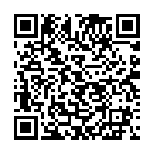 静静悬浮在龙傲天手中的便只剩下这一股世界本源了二维码生成