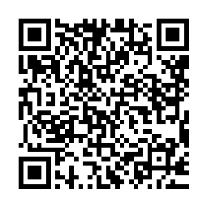 静静的感受着曰光浴的洗礼……可惜现在的天气还略微有点阴冷二维码生成