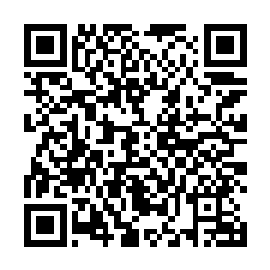 静静的看着那大片大片的雪花从天上飘飘洒洒的掉下来二维码生成