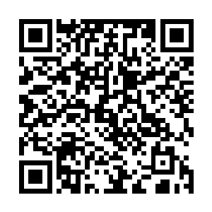 静静的矗立在内天地之中的巨茧也发出一道道紫金色的光芒二维码生成