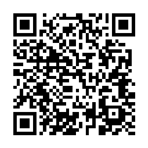 静鱼宫海外洞府乃是当年元珠宗一名元婴长老所留下的洞府二维码生成