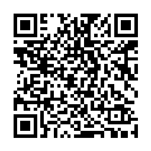 非但整个无疆海尽人皆知而以天外天停一亭之流的情报组织二维码生成