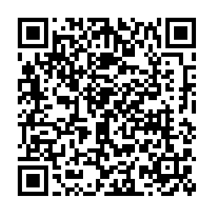 非但能够单凭一双肉掌便将这白银铸就的玉兰花针化作了玉兰花簪二维码生成