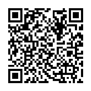 非但黯月基金会里不少强者都调取了你的详细资料二维码生成