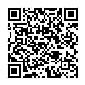 非常感谢万物凋零兄弟和沈浪gg两位兄弟的打赏支持二维码生成