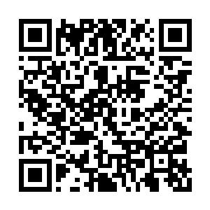 非洲地区的秘社势力已经被红男爵牢牢捏在手里二维码生成