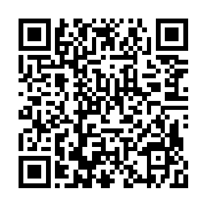 非笑和承泽两位仿若护花使者一般随在夜染身后二维码生成